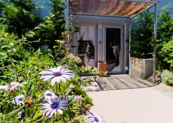 Our Quinta Vila Franca do Rosario